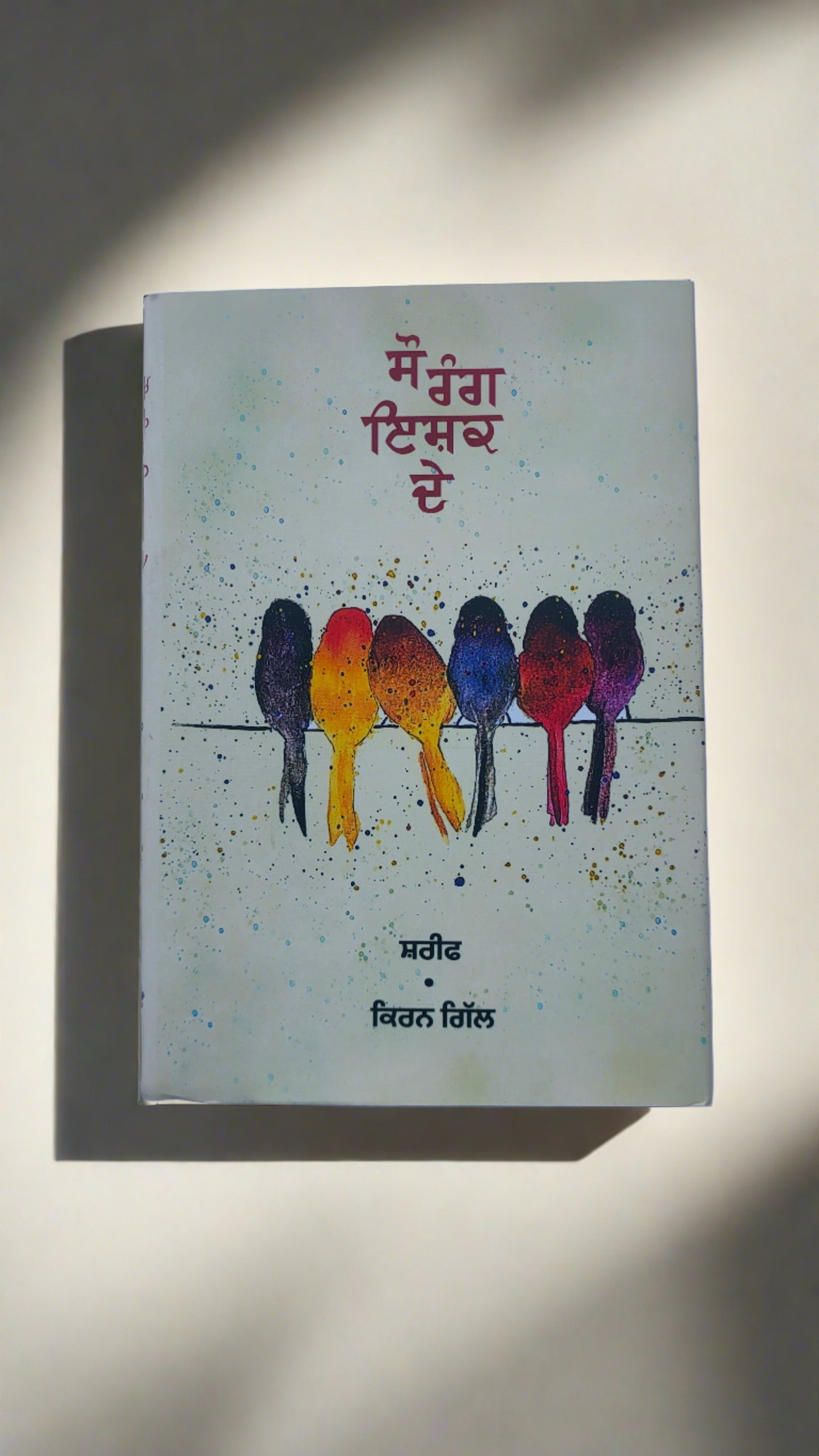 100 ਰੰਗ ਇਸ਼ਕ ਦੇ | 100 RANG ISHQ DE