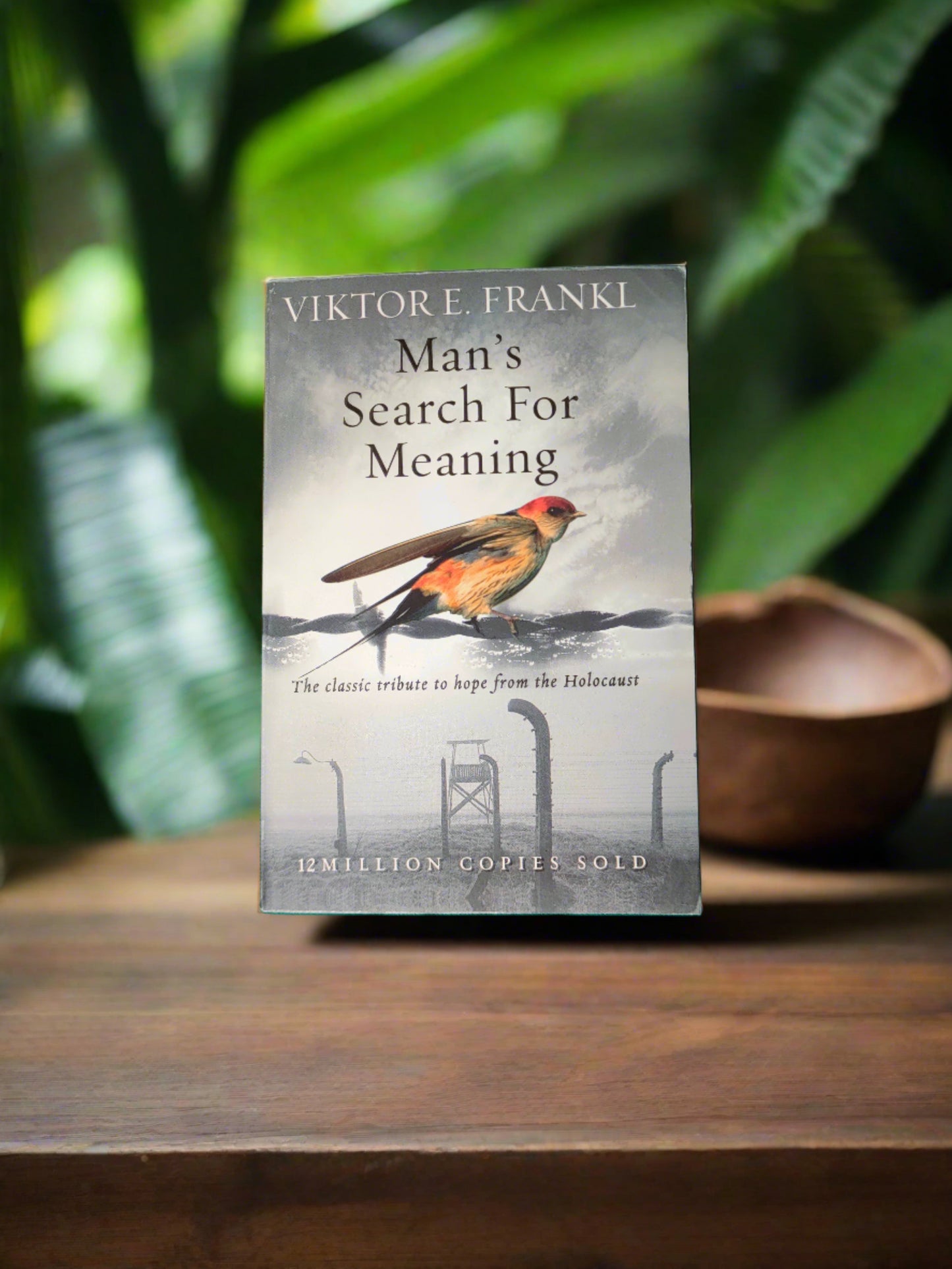 Man's Search For Meaning